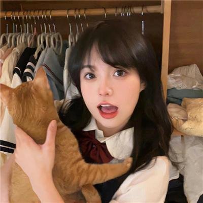 联邦大蠢探